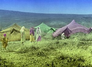 VESTIGES ROMAINS ET HAUTS PLATEAU 00016 CAMPEMENT DE NOMADES SUR LES HAUTS PLATEAUX